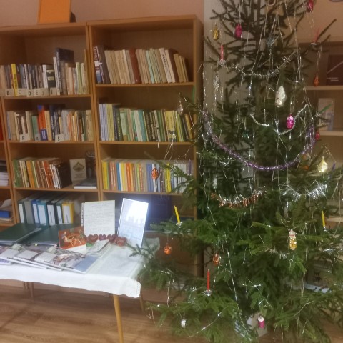 Bibliotēkā izrotāta eglīte ar Emeritas Brenčevas pagājušā gadsimta eglīšu rotājumiem.